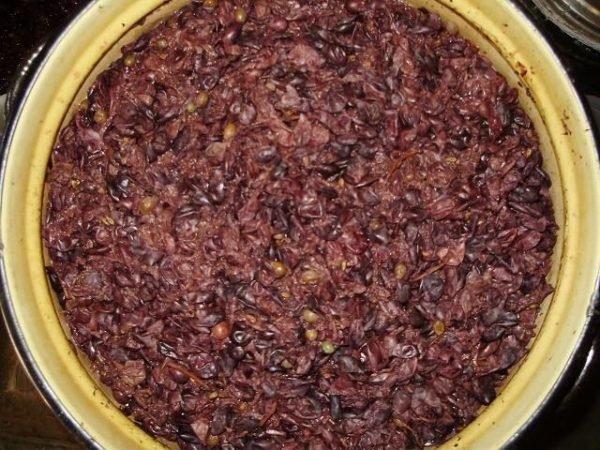 Вино на мезге: як приготувати ароматний напій з яблучного жмиху та вичавок винограду в домашніх умовах, правила вживання